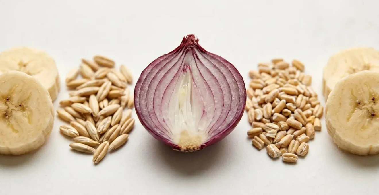 Close-up macro view of fiber-rich plant foods showing textural detail representing prebiotic nutrition